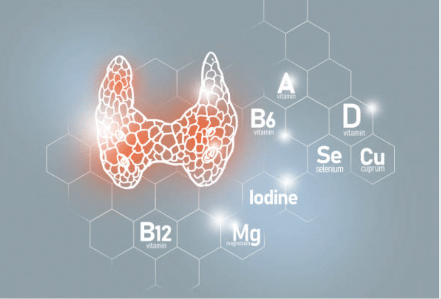 suplementos hipotiroidismo